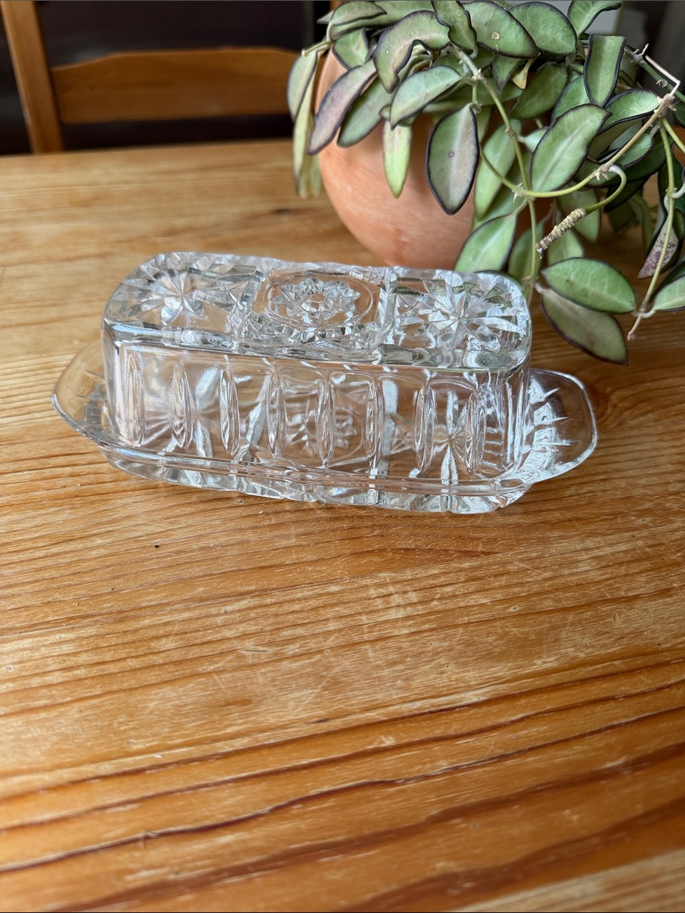 Pressed Glass Butter Dish in Clear Glass